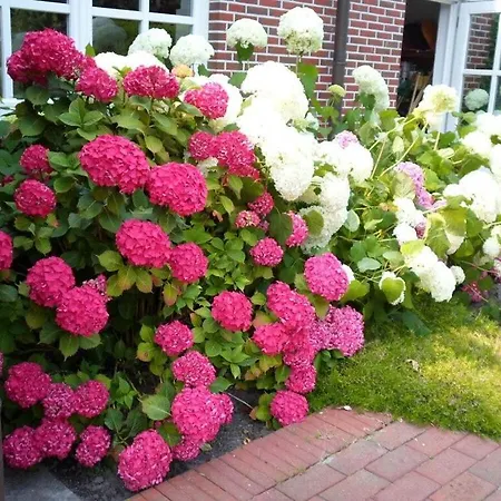 Watthuus Kiebitzhoern Attic Holiday home Horumersiel