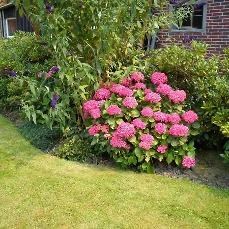 Σπίτι διακοπών Watthuus Kiebitzhoern Attic