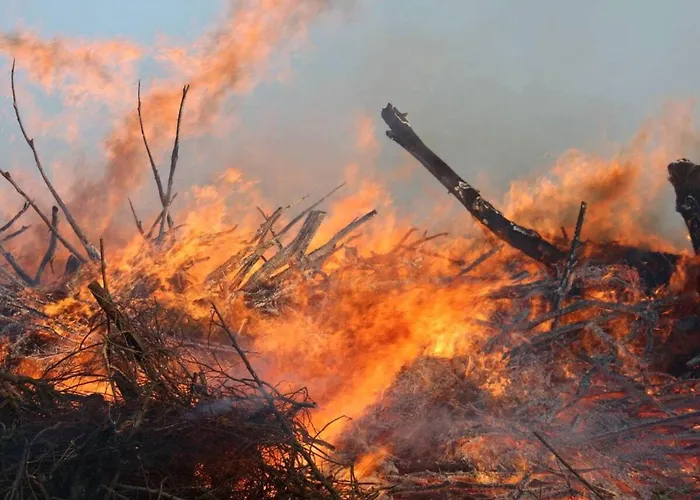 Watthuus Kiebitzhoern Attic 度假居 *